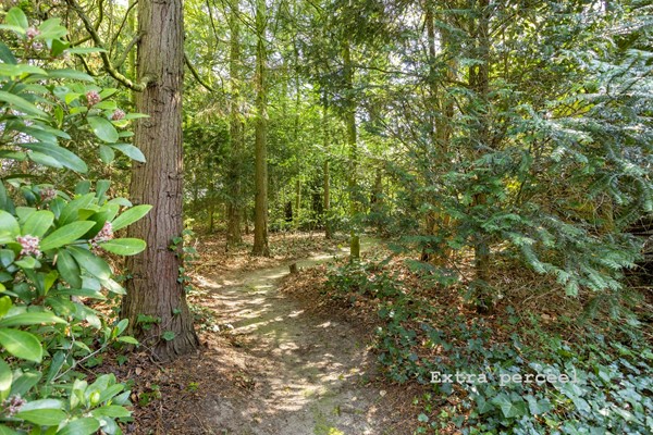 NieuweVeenendaalseweg2143911MRRhenenNL-43  extra perceel 1.jpg